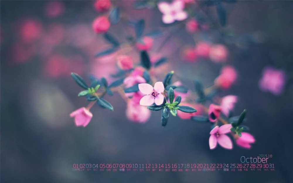清新的10月花儿日历