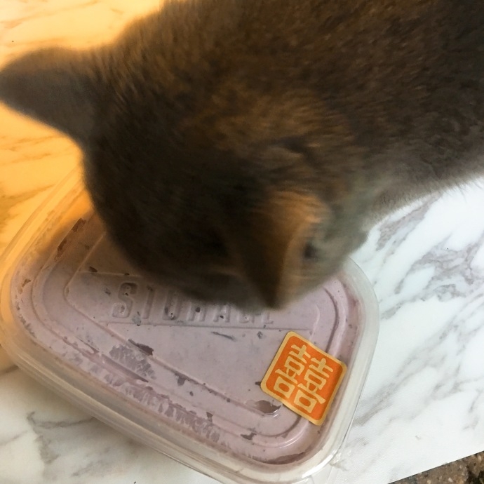 饿了麽？