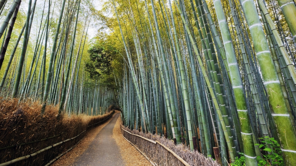 精选高清大自然风景图片大全欣赏