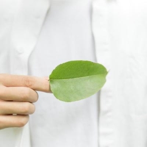唯美好看小清新静物头像大全