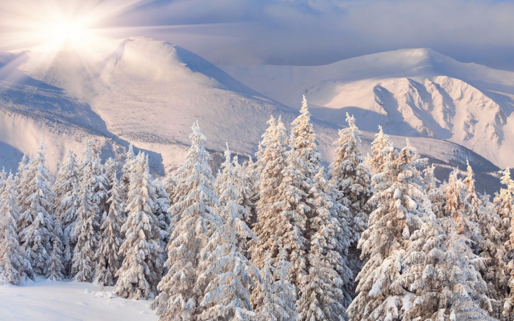 坝上草原雪景高清壁纸