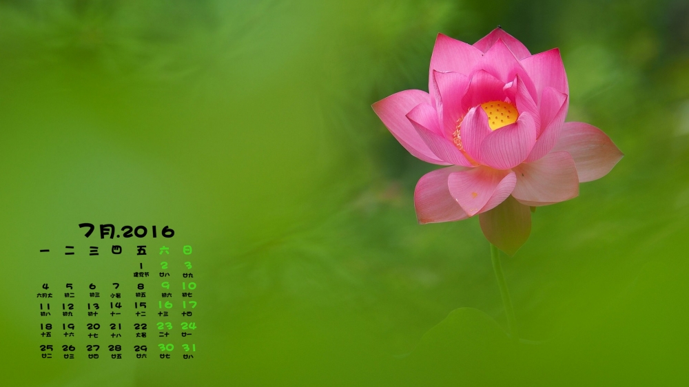 2016年7月日历小清新护眼植物花卉桌面壁纸