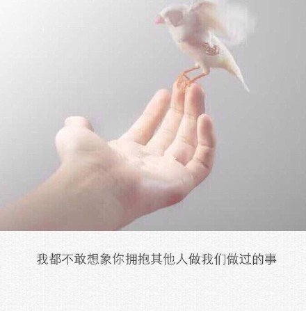 后来你成熟了，我也不爱笑了