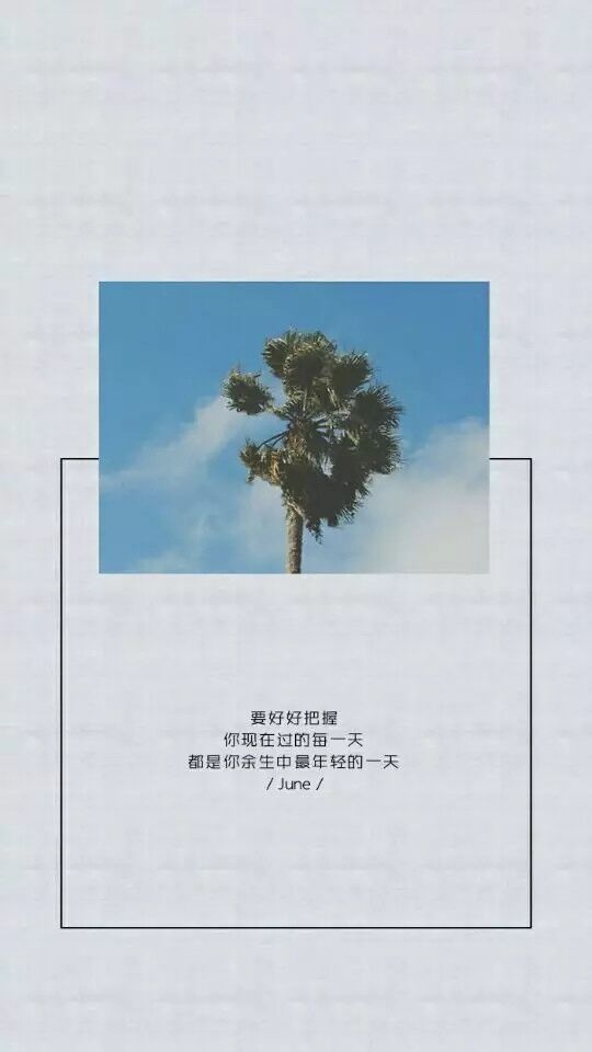 就怕算计我的，是曾经掏心掏肺相信的人