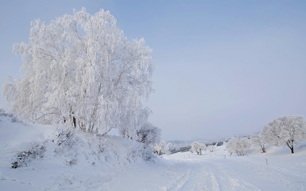 坝上草原雪景高清壁纸