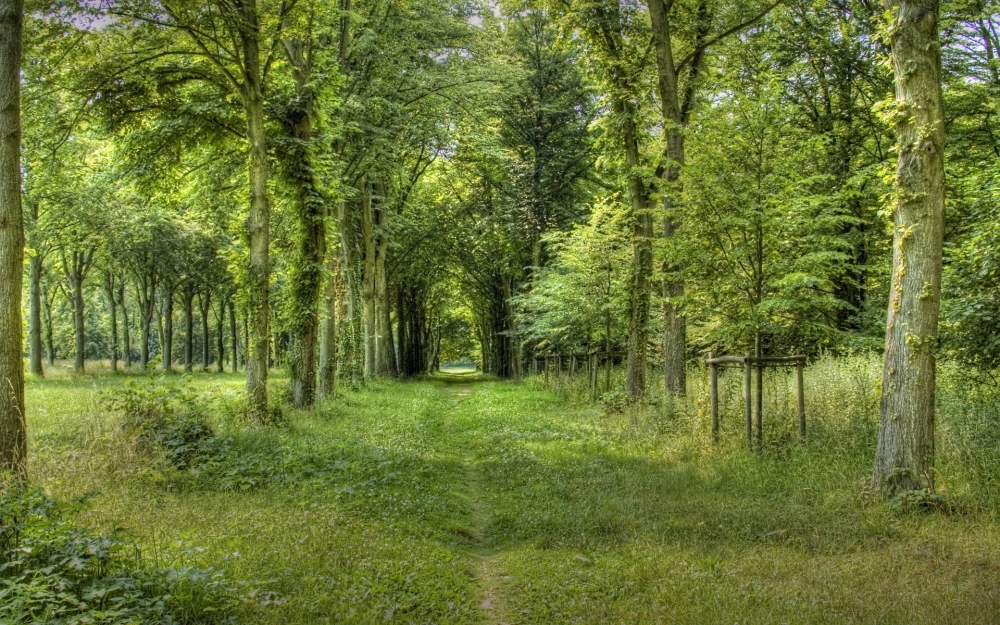 渲染风光 第三辑