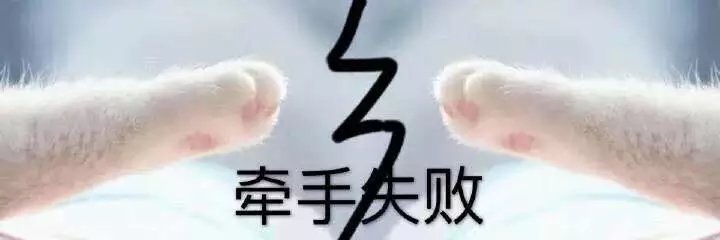 猫爪表情包