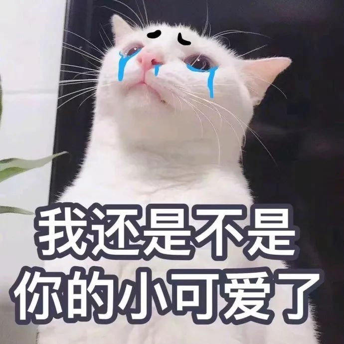 新鲜出炉的撩汉表情包ll 愿你喜