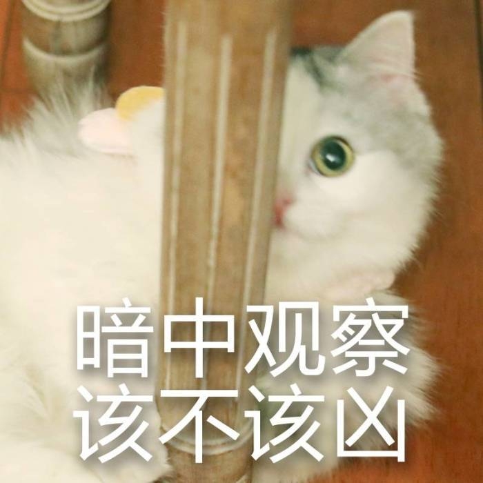可爱到爆的软妹表情包lll林十一