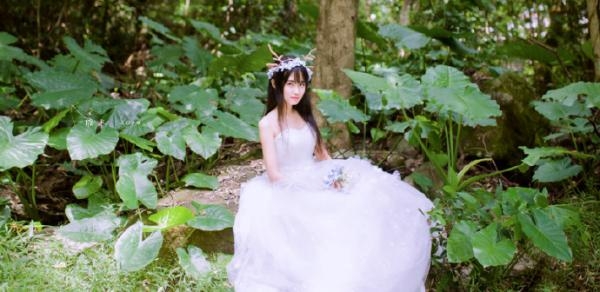麋鹿新娘