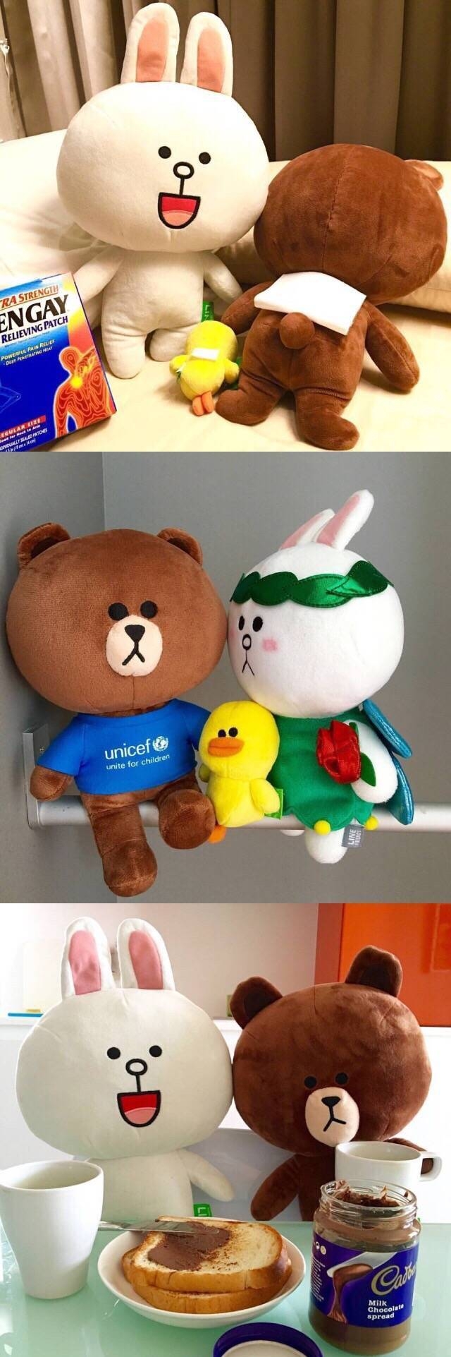当布朗熊遇上可妮兔♡