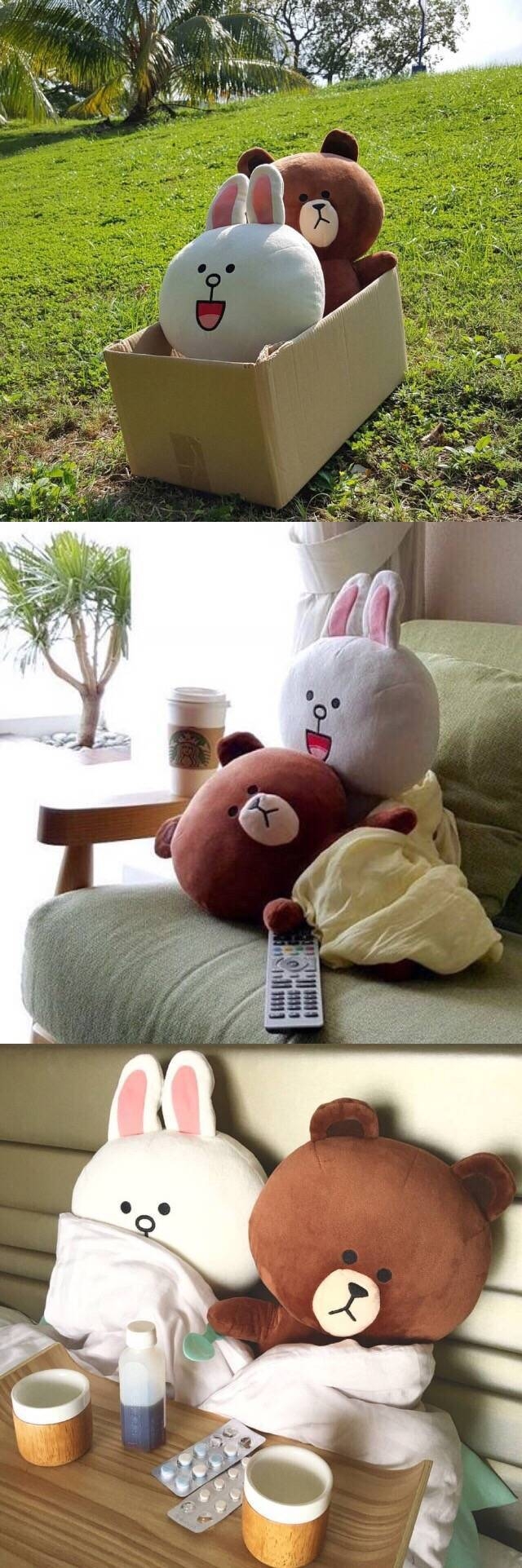 当布朗熊遇上可妮兔♡