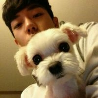 狗狗是我们人类最真诚的朋友