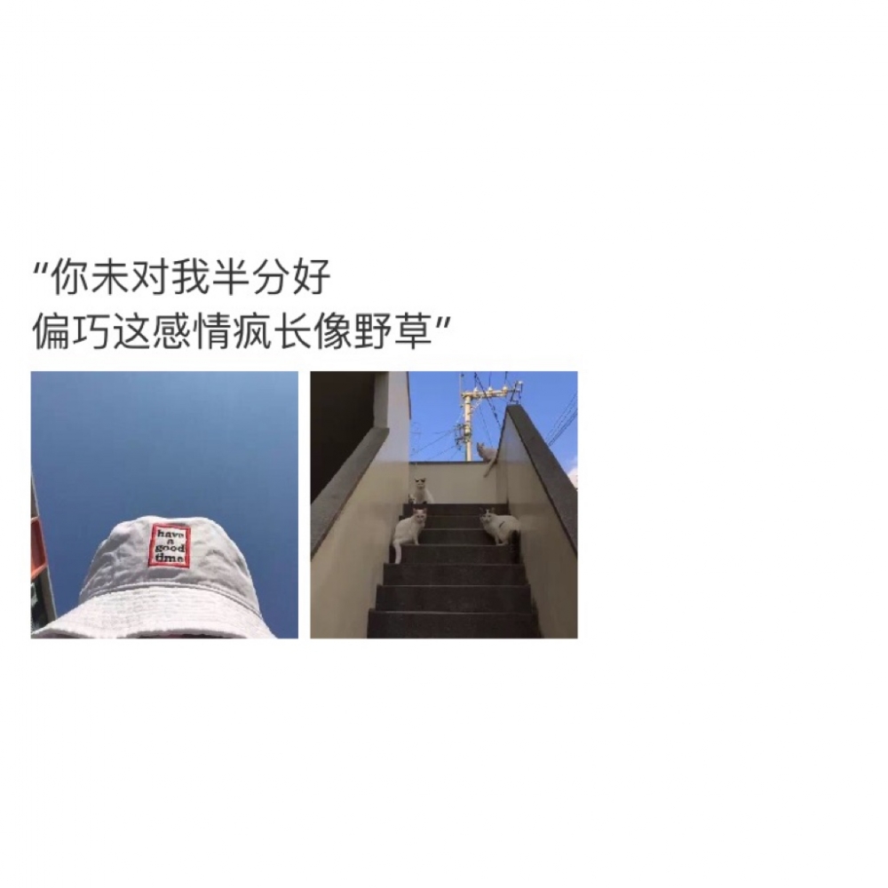 说的容易 输给回忆