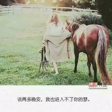 若有朝一日无处可去，不妨归来，把