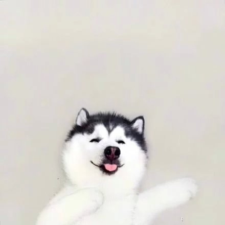 奶茶妹妹：愿你笑口常开