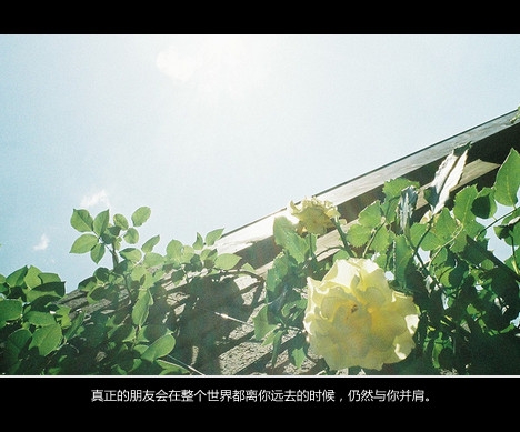 说太多不如沉默，想太多我会难过