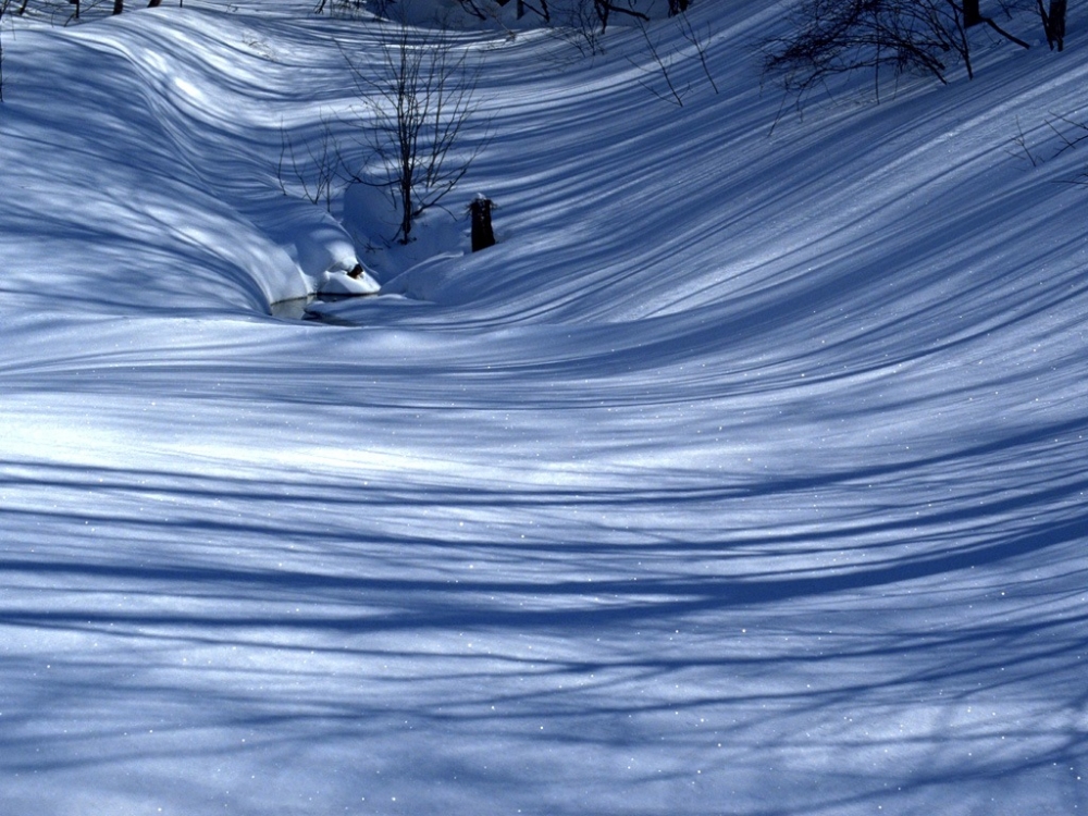 雪中写真 第一辑