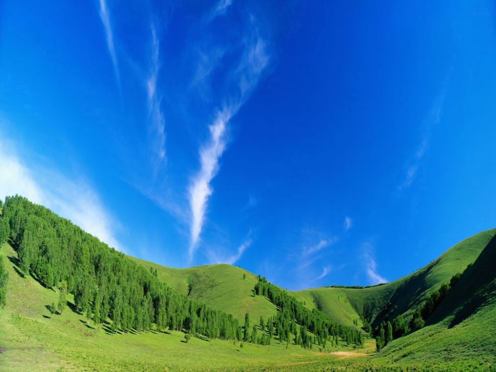 Natural beauty桌面壁纸