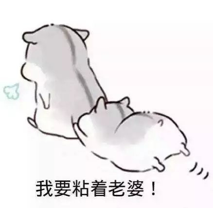 阿忧：论宠女朋友的方式.