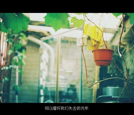 你眷恋的 都已经离去