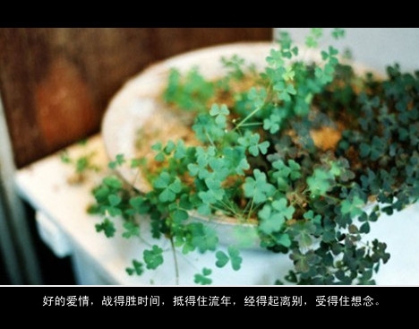 说太多不如沉默，想太多我会难过
