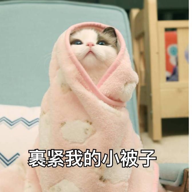 可爱到爆的软妹表情包lll林十一