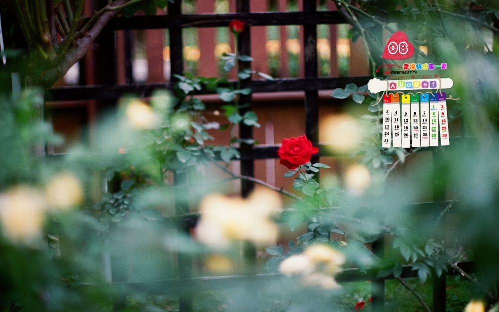 2015年8月日历壁纸小清新