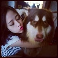 狗狗是我们人类最真诚的朋友