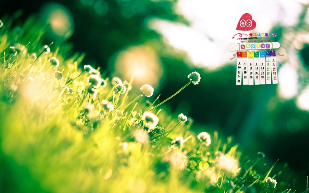 2015年8月日历壁纸小清新