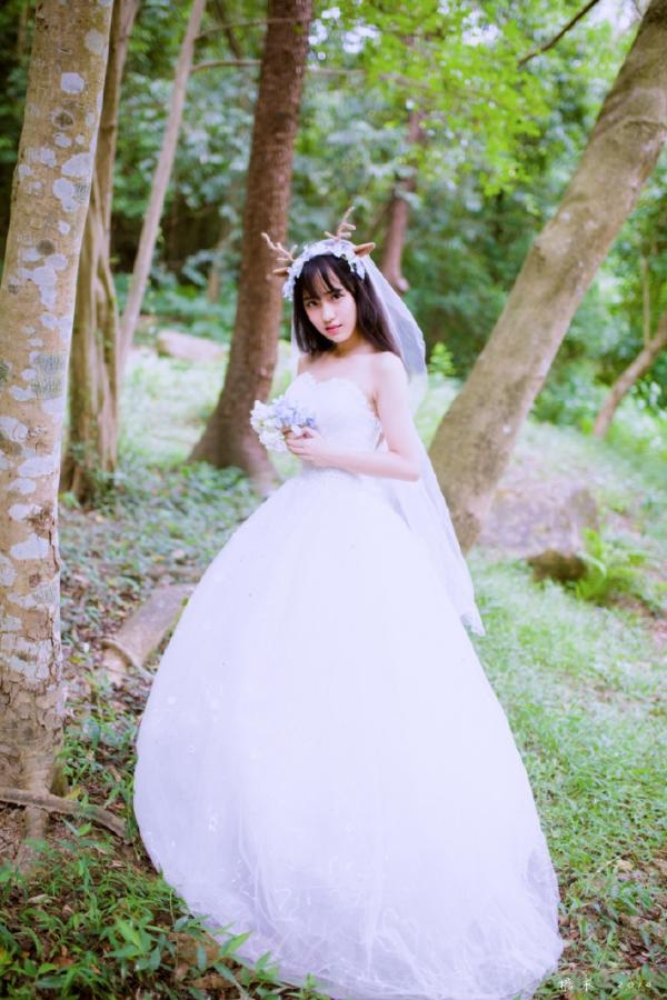 麋鹿新娘
