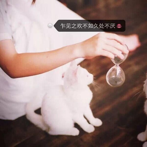 夜晚总是太寂寞，没有一个人会去安慰一个爱哭的女孩。