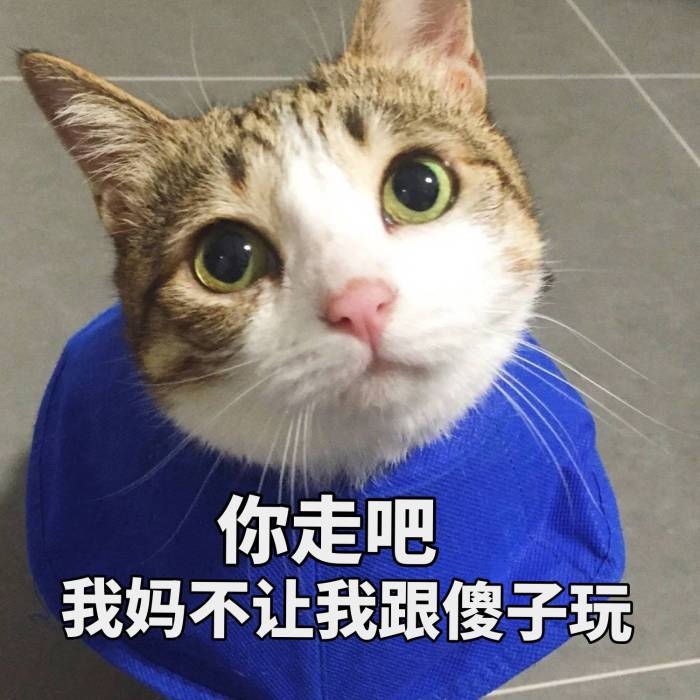 可爱到爆的软妹表情包lll林十一