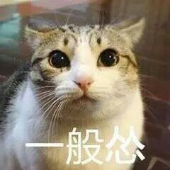 猫咪怂表情包。