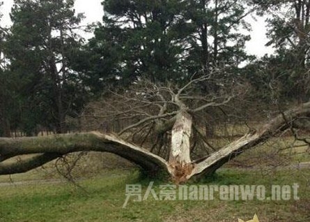 一张图片告诉你 妹子要在哪里摆剪刀手