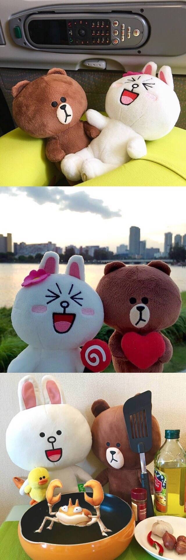 当布朗熊遇上可妮兔♡