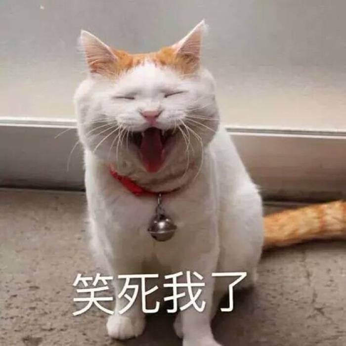 可爱到爆的软妹表情包lll林十一