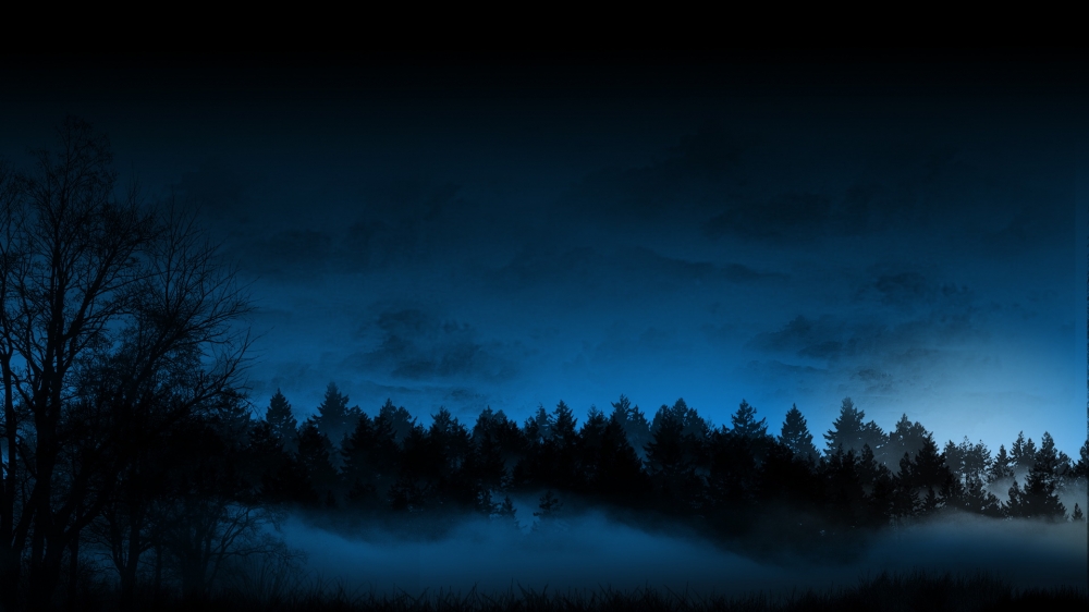 夜色森林风景摄影