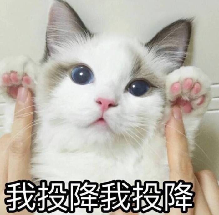 可爱到爆的软妹表情包lll林十一