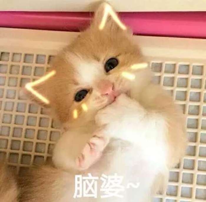 可爱到爆的软妹表情包lll林十一