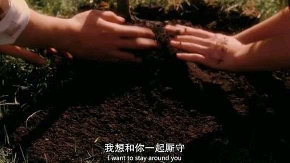 爱情，从来都不晚