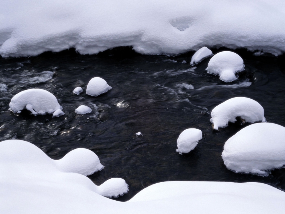 雪中写真 第一辑