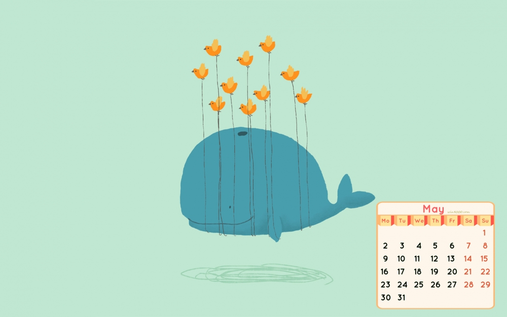 2016年5月日历可爱鲨鱼桌面壁纸