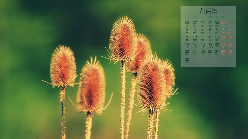 2013年9月日历壁纸之唯美自然风光