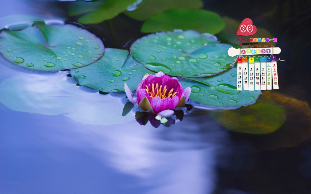 2015年8月日历壁纸小清新