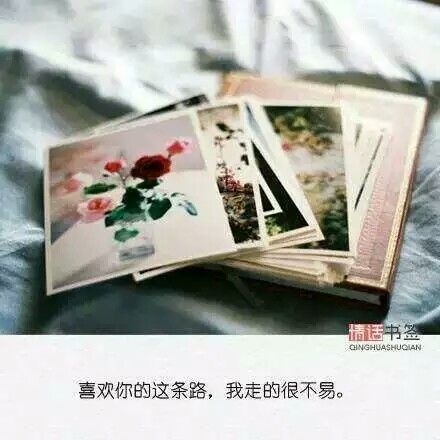 若有朝一日无处可去，不妨归来，把