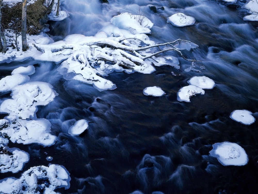 雪中写真 第一辑