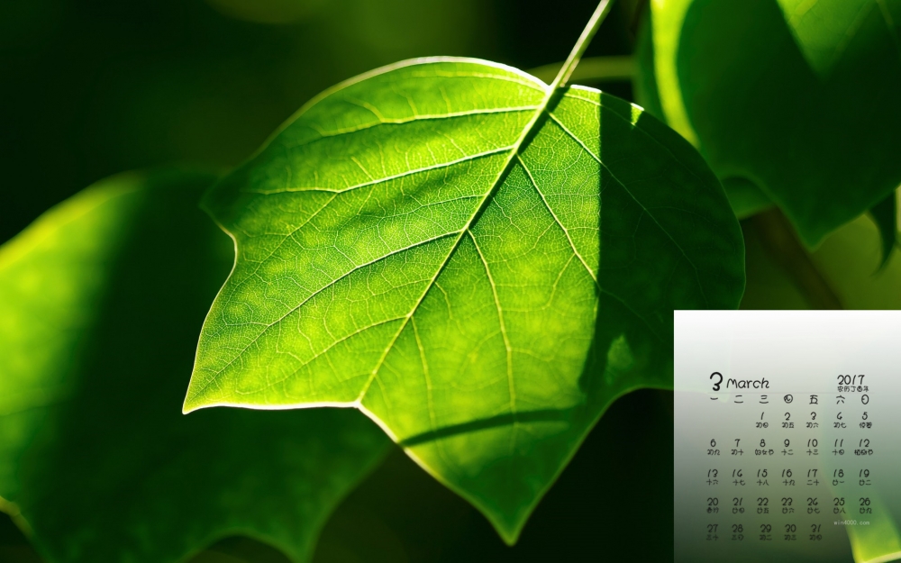 2017年3月绿色护眼高清桌面日历壁纸