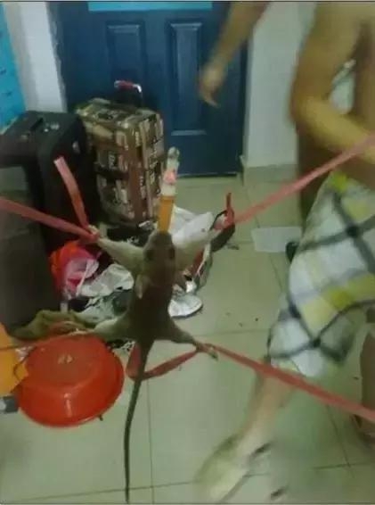 这就是独闯男寝的下场