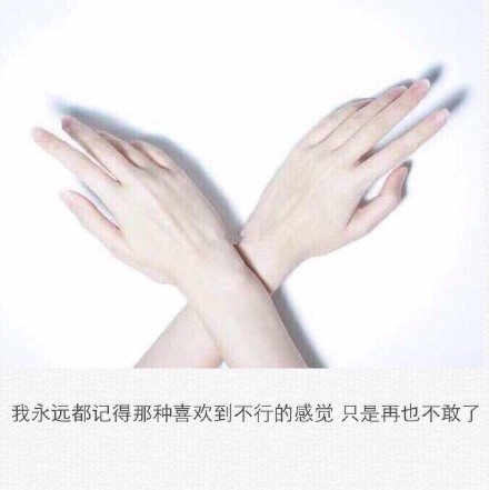 后来你成熟了，我也不爱笑了